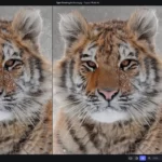 Topaz Photo AI 1.2.6 (WIN)