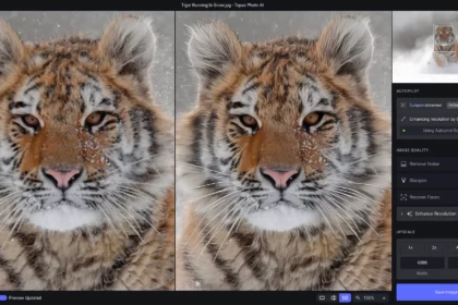 Topaz Photo AI 1.2.6 (WIN)